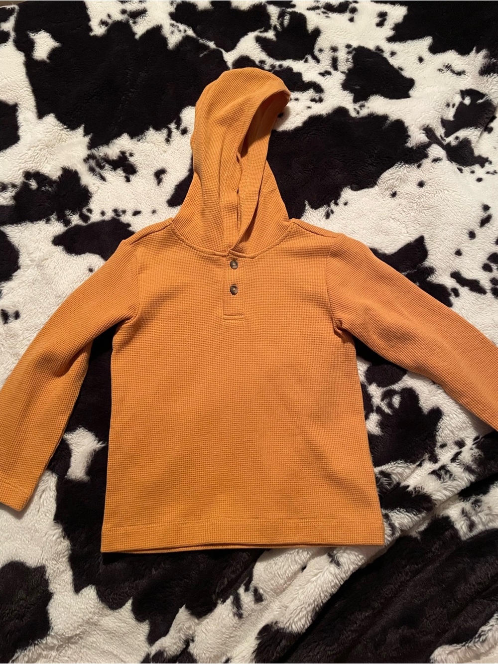 Pekkle Hooded Long Sleeved Toddler Shirt Size 3T